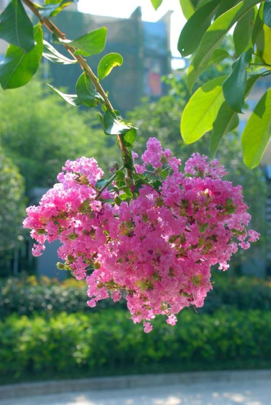 158e7b8a0c1fa2fb227ee9bbf3b82664